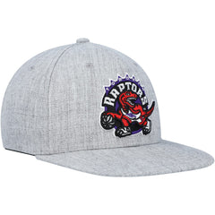 Toronto Raptors Hardwood Classics 2.0 Snapback Hat Heather Gray - Mitchell & Ness
