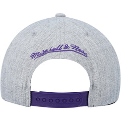Toronto Raptors Hardwood Classics 2.0 Snapback Hat Heather Gray - Mitchell & Ness
