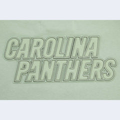 Carolina Panthers Pro Standard Women's Oversized Cropped Neutral Pullover Sweatshirt - Light Green Pullover