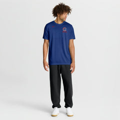 Chicago Cubs Nike Knockout Team Legend Dri-FIT T-Shirt - Royal T-shirts