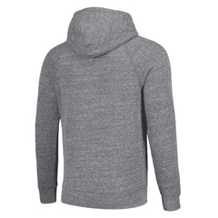 Detroit Lions Homage Unisex Hyperlocal Raglan Pullover Hoodie - Gray Hoodies
