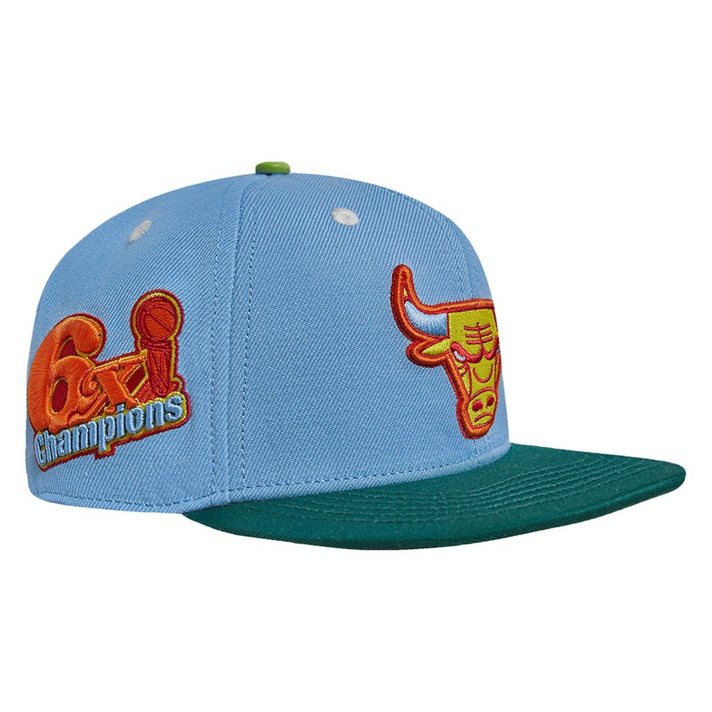 Chicago Bulls Pro Standard Retro Program 2-Tone Snapback Hat Light Blue/Green