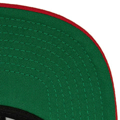 Florida Panthers Mitchell & Ness Core Team Ground 2.0 Snapback Hat - Navy | US 200398868
