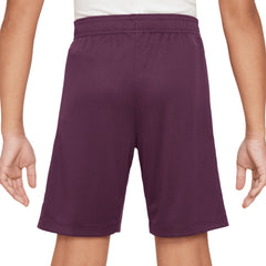Paris Saint-Germain Youth 2024/25 Strike Performance Shorts Burgundy - Nike discount
