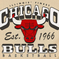 Chicago Bulls Qore Women's Oversized Cozy Mock Neck Pullover Sweatshirt Cream