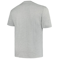 Minnesota Wild Profile Big & Tall Arch Over Logo T-Shirt - Heather Gray | US 200745660