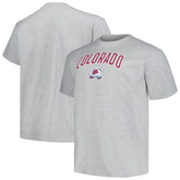 Colorado Avalanche Profile Big & Tall Arch Over Logo T-Shirt - Heather Gray | US 200745702
