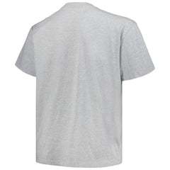 Colorado Avalanche Profile Big & Tall Arch Over Logo T-Shirt - Heather Gray | US 200745702