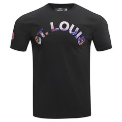 St. Louis Cardinals Pro Standard Cityscape T-Shirt - Black T-shirts