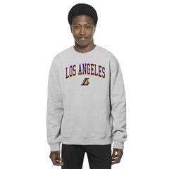 Los Angeles Lakers Chenille Cross Over Pullover Sweatshirt Gray - New Era