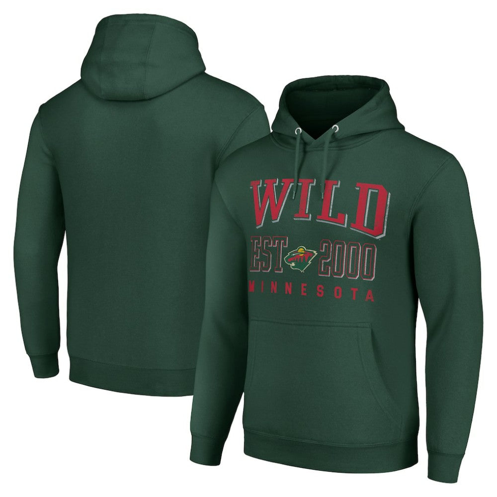 Minnesota Wild Starter Graphic Pullover Hoodie - Green | US 201066282