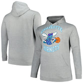 Charlotte Hornets Hardwood Classics Big & Tall Pullover Hoodie Heather Gray - Mitchell & Ness