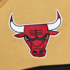Chicago Bulls Head Coach Pullover Hoodie Red/Gold - Mitchell & Ness
