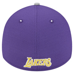 Los Angeles Lakers Active Trim 39THIRTY Flex Hat Gray/Purple - New Era