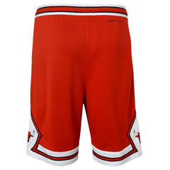 Chicago Bulls Youth Swingman Performance Shorts Red Icon Edition - Nike