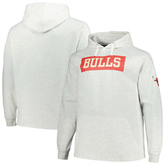 Chicago Bulls Big & Tall Raglan Tri-Blend Pullover Hoodie Ash - Fanatics