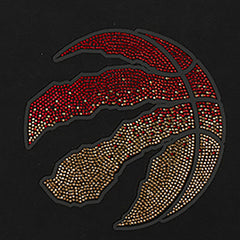 Toronto Raptors Pro Standard Women's Jewels Boxy Cropped T-Shirt Black