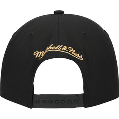 Florida Panthers Mitchell & Ness Core Team Script 2.0 Snapback Hat - Black | US 201212988