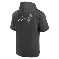 Carolina Panthers Elements Future Ground Lettering Short Sleeve Pullover Hoodie - Charcoal Hoodies