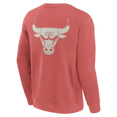 Chicago Bulls Elements Future Ground Lettering Pullover Sweatshirt Red - Fanatics