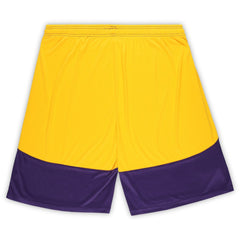 Minnesota Vikings Big & Tall Launch Shorts - Purple/Gold Shorts