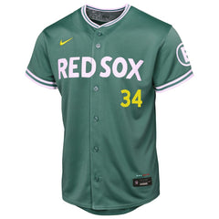 David Ortiz Boston Red Sox Nike Youth 2025 City Connect Limited Retired Player Jersey - Green Jerseys