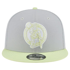 Boston Celtics Color Pack Two-Tone 9FIFTY Snapback Hat Gray/Light Green - New Era