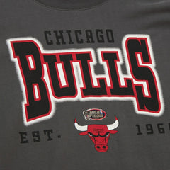 Chicago Bulls Women's Hardwood Classics Oversized Boyfriend T-Shirt Charcoal - Mitchell & Ness