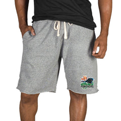 Carolina Panthers Concepts Sport Mainstream Tri-Blend Shorts - Gray Shorts
