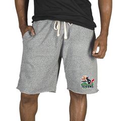 Houston Texans Concepts Sport Mainstream Tri-Blend Shorts - Gray Shorts