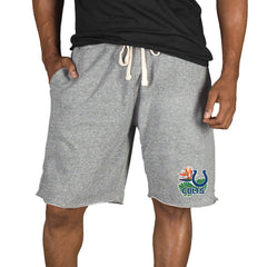 Indianapolis Colts Concepts Sport Mainstream Tri-Blend Shorts - Gray Shorts