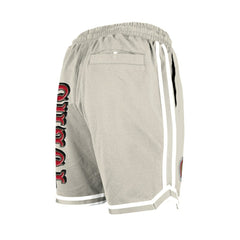 San Francisco 49ers New Era Stone Multi Patch Shorts - Light Beige Shorts