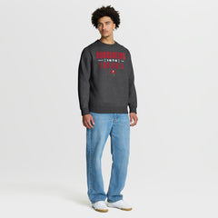 Tampa Bay Buccaneers Powerful Throw Legacy Pullover Sweatshirt - Heather Pewter Pullover