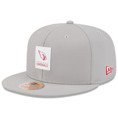 Arizona Cardinals New Era 2025 Sideline 59FIFTY Fitted Hat - Gray Hats