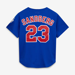 Ryne Sandberg Chicago Cubs Mitchell & Ness Cooperstown Collection 1997 Mesh Batting Practice Button-Up Jersey - Royal Jerseys