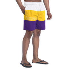 Minnesota Vikings G-III Sports by Carl Banks Sunrise Volley Swim Shorts - Purple/Gold Shorts