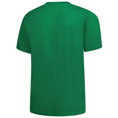 Detroit Lions Big & Tall Celtic T-Shirt - Kelly Green T-shirts