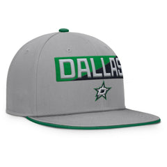 Dallas Stars Fanatics Fundamentals Duo Split Logo Snapback Hat - Gray | US 202777621