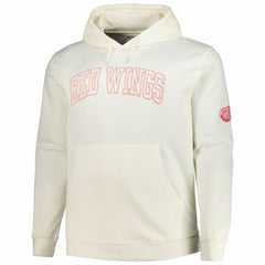 Detroit Red Wings Fanatics Big &Tall Stitch Hoodie - Cream | US 203042791