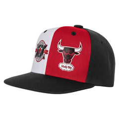 Chicago Bulls Youth 20th Anniversary Duo Front Snapback Hat Black - Mitchell & Ness