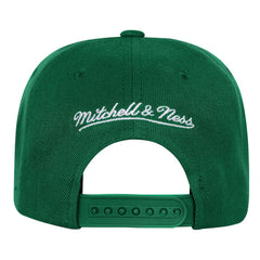 Boston Celtics Youth Anniversary Duo Front Snapback Hat Kelly Green - Mitchell & Ness outlet