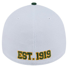 Green Bay Packers New Era Dashmark Rays 39THIRTY Flex Hat - White/Green Hats
