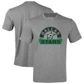 Dallas Stars Levelwear Youth Little Richmond Banner Arch T-Shirt - Gray | US 203145561