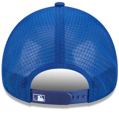 New York Mets New Era 2026 Batting Practice Alternate Apex 9FORTY Adjustable Hat - Royal Hats