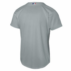 Los Angeles Dodgers Nike Youth Alternate Replica Jersey - Gray Jerseys