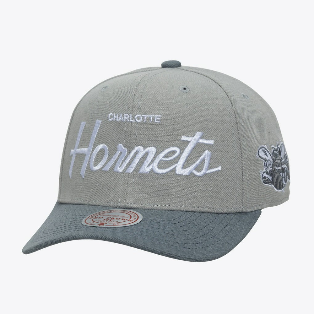 Charlotte Hornets Thunderstorm Head Coach Pro Crown Snapback Hat Gray - Mitchell & Ness