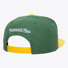 Minnesota Wild Mitchell & Ness Legendary Home Snapback Hat - Green | US 203263576