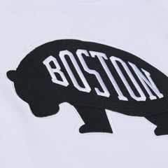 Boston Bruins Mitchell & Ness Arctic Fleece Hoodie - White | US 203265805