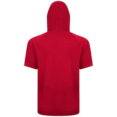 Boston Red Sox Levelwear Phase Banner Arch Hoodie T-Shirt - Red Hoodies