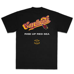 Arizona Cardinals Born x Raised Unisex Pro Script T-Shirt - Black T-shirts